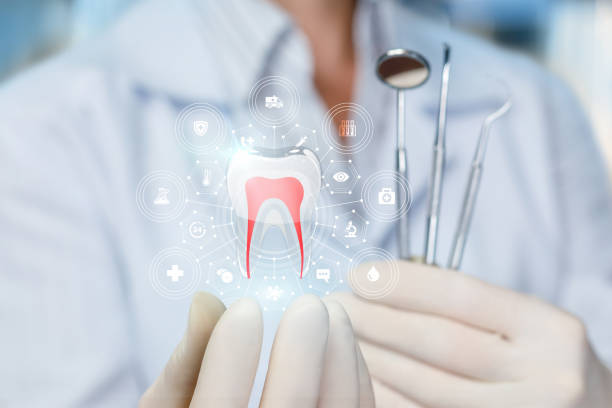 Our Range of Dental Services in Grapeland, TX